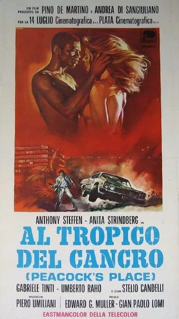 Тропик Рака / Al tropico del cancro (1972) WEB-DLRip