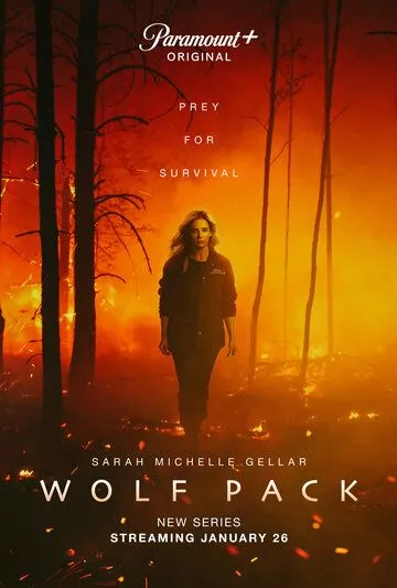 Волчья стая / Wolf Pack (2023) WEBRip, WEB-DL