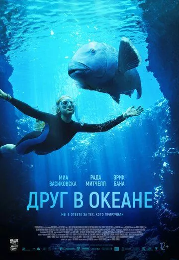 Друг в океане / Blueback (2022) WEB-DL