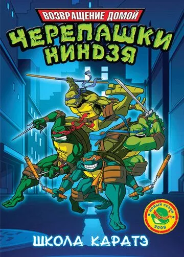 Мутанты черепашки ниндзя. Новые приключения! / Teenage Mutant Ninja Turtles (2003) WEB-DL