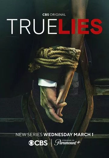 Правдивая ложь / True Lies (2023) WEB-DL, WEBRip