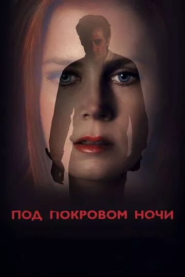 Под покровом ночи / Nocturnal Animals (2016) BDRip