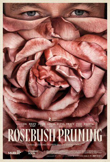 Подрезка кустов роз / Rosebush Pruning (2026)